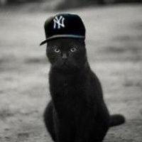 Dandy0 Danil Nesvitailo Github - Abstract Illustration Collection - High Resolution Quality