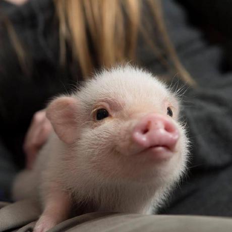 Github Rucaibox Awesome Rspapers Recommender System Papers - HD Colorful Wallpapers for Desktop