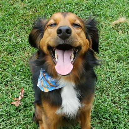 Marie Mabe Github - Best Landscape Backgrounds in Desktop