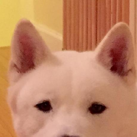 Github Craftercms Craftercms Parent Project For Crafter Cms Issue - Abstract Image Collection - HD Quality