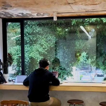 Navyzeng Github - Artistic Nature Image - 8K