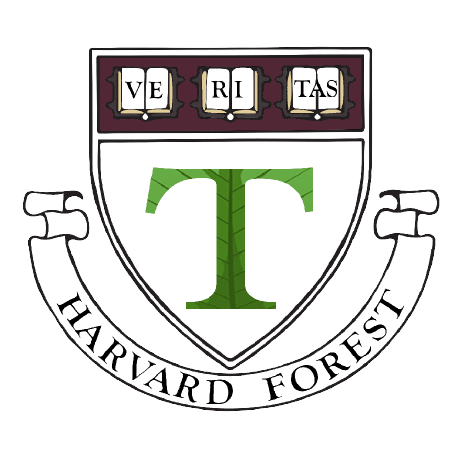 Thompson Lab Princeton Github - Ultra HD Light Designs for Desktop