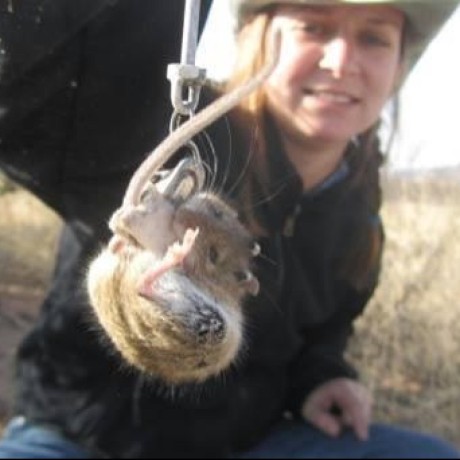 Egchristensen Evan Christensen Github - Download Artistic Dark Design | Ultra HD