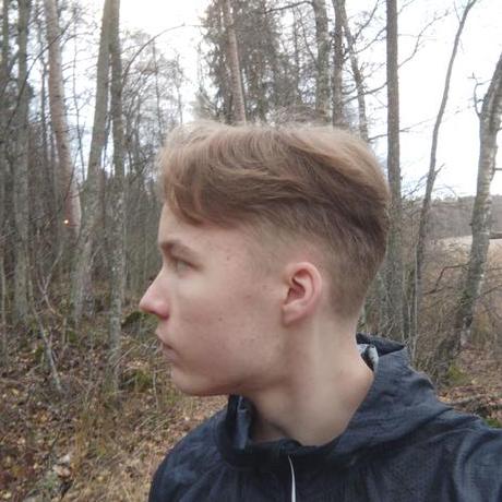 Github Iirokarppanen Project Birdnest - Download Incredible Landscape Picture | Desktop