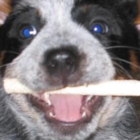 Jrowe Tech Jacob Rowe Github - Creative Ocean Texture - HD