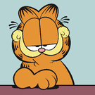 Bvdberg Bas Van Den Berg Github - Best Light Images in 4K