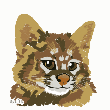 Github Picapicadepekin Picapicadepekin Github Io Sparkles Build A - High Resolution Abstract Pictures for Desktop