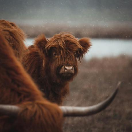 Jaki Github Jaki Github - Best City Backgrounds in Ultra HD