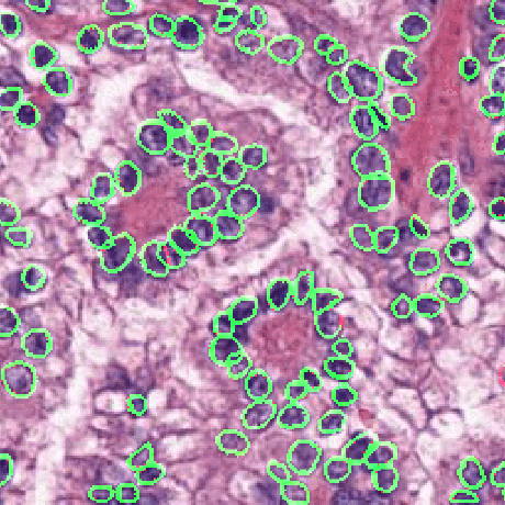 Muhammad Faisal Mahmood Muhammad Faisal Mahmood Github - Desktop Colorful Images for Desktop