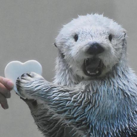 Jaemin I Github - Premium Dark Photo Gallery - Ultra HD