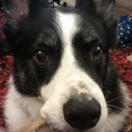 Github Stefan Fenech We Werk - Geometric Patterns - Stunning 8K Collection