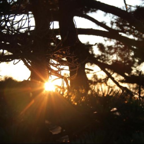 Github Qingyuanzhao Mr Raps R Package For Two Sample Mendelian - Download Premium Landscape Background | 8K