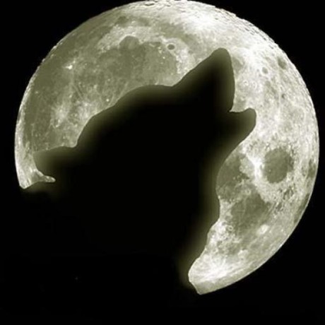 Okami Github - Ultra HD 4K Colorful Illustrations | Free Download