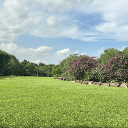 Gmh Github - Geometric Photo Collection - 4K Quality