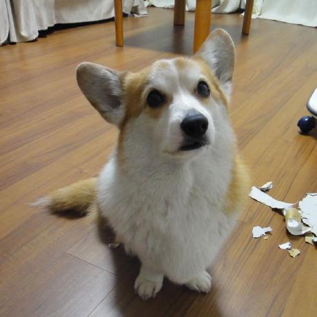 M Yamada Ts Github - Best Vintage Pictures in Mobile