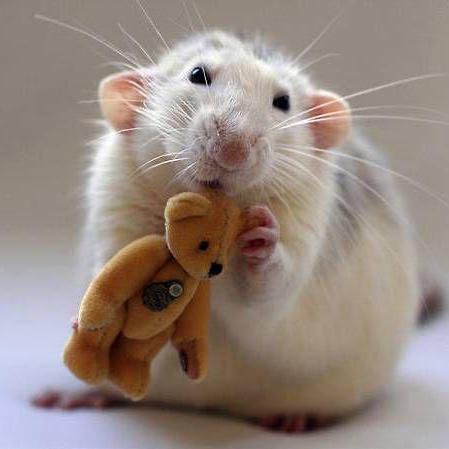 Julia104 Harison Nagisvaran Github - Premium City Art Gallery - Mobile