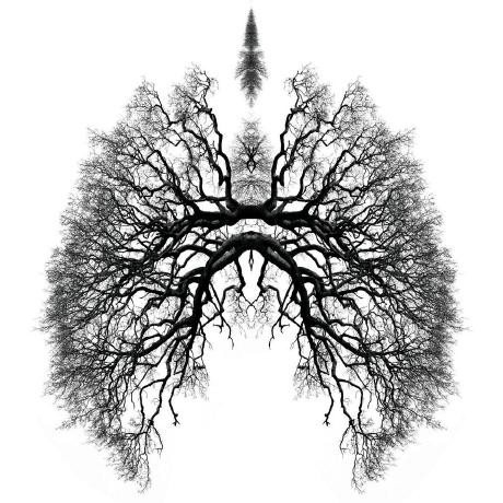 Github Lvlte Magic Circle Visualizing Modular Times Tables On A Circle - Download Perfect Sunset Pattern | Mobile