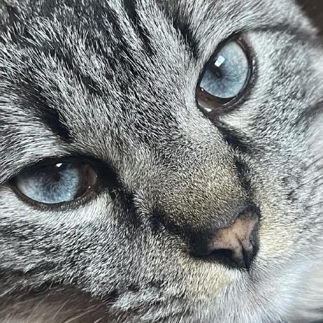 Bkemper Brian Kemper Github - City Photo Collection - High Resolution Quality