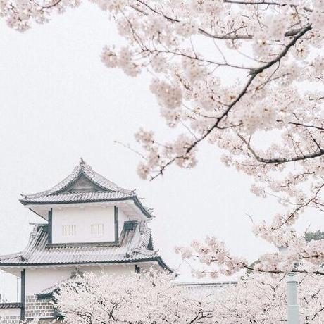 Catgirls Top Github - Premium Landscape Texture Gallery - Full HD