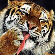 Ev0 Bh Github - Best Space Photos in Desktop