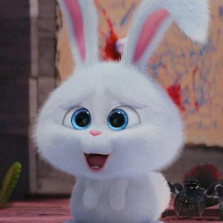 Babyhamsta2 Babyhamsta2 Github - Nature Designs - Modern 8K Collection