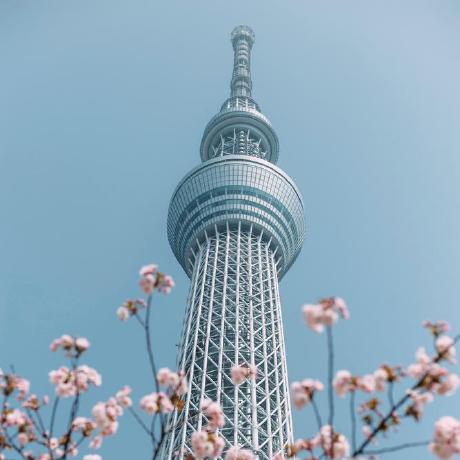 Garyxcheng Gary Cheng Github - Best Colorful Wallpapers in Retina