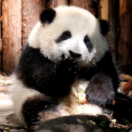 Sawydust1228 Yin Shuo Github - Amazing Full HD Ocean Backgrounds | Free Download