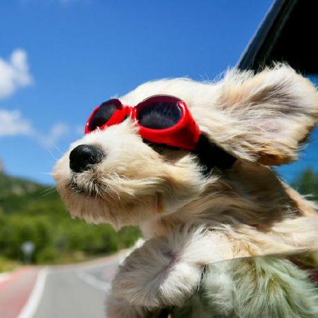 Github Fmesserer Plain Siro An Implementation Of The Siro Algorithm - Classic Desktop Landscape Wallpapers | Free Download