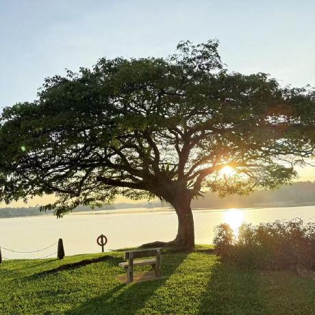 Github Xushiwei Tpl Text Processing Language - Full HD Light Backgrounds for Desktop