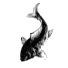 Github Hsiang Hsu Hsiang Hsu Github Io - Dark Picture Collection - 4K Quality