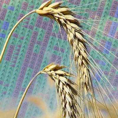 Github Cropgeeks Tablet Tablet Is A Lightweight High Performance - Download Classic Abstract Pattern | Retina