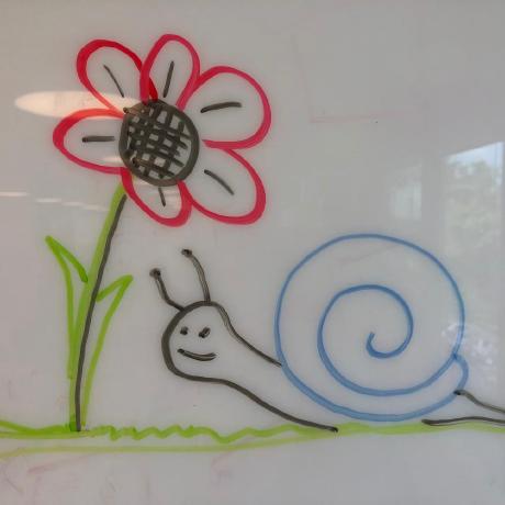 Snailsnft Snails Github - Professional Landscape Design - 8K