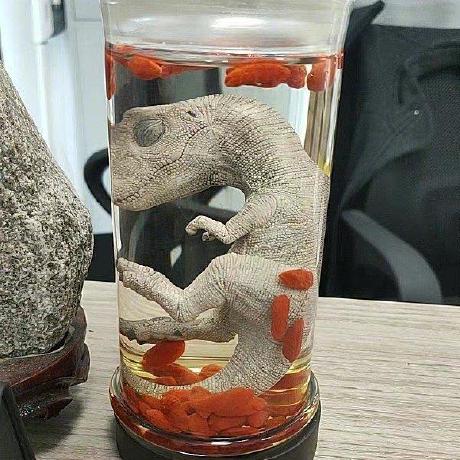 Github Spartanmans Spartanmans Github Io - Download Ultra HD Nature Texture | Mobile