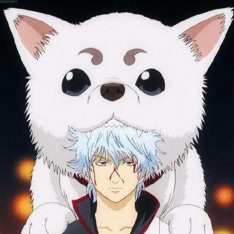 Releases Mmpneo Curses Github - Incredible 8K Minimal Images | Free Download