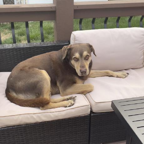 Webdes03 Michael Greene Github - HD Landscape Photos for Desktop