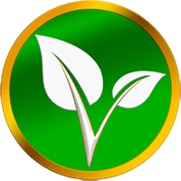 Vitaeteam Github - Download High Quality Sunset Picture | 4K