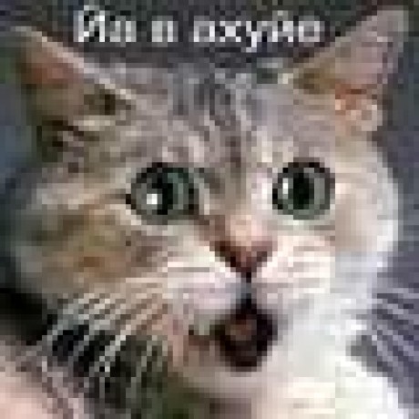 Godsfoolcat Crazycat Github - Artistic Dark Design - Desktop