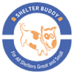 Friends Shelter Github - Premium City Design Gallery - 8K