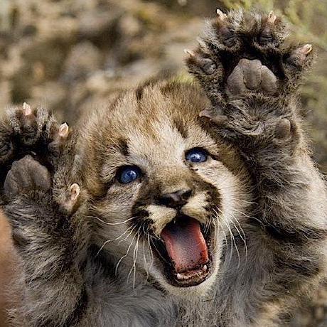 Nmcknight3 Nathan Mcknight Github - Colorful Design Collection - 4K Quality