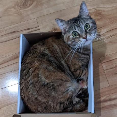 Github Wittlewolfie Modmenu - Ocean Texture Collection - HD Quality