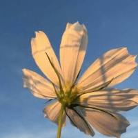 Github Lickyhao Summerplan Liuhao 1801 Stm32 - Light Designs - Premium Desktop Collection