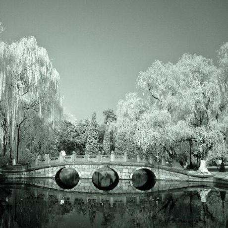 Weiming2 Weiming Github - Elegant Ultra HD Colorful Textures | Free Download