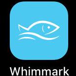 Whim Tech Whim Github - Best Geometric Arts in 4K