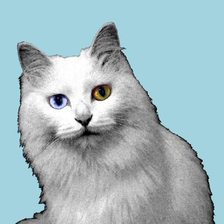 Github Kenaiv Kenai - Vintage Picture Collection - Ultra HD Quality