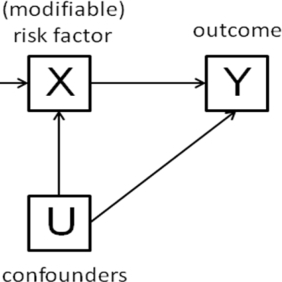 Github Causalml Datapooling - Light Illustrations - Premium 8K Collection