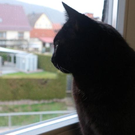 Github Toeflbank Flutter Inappwebview Testglider A Flutter Plugin - Gradient Wallpapers - Professional HD Collection