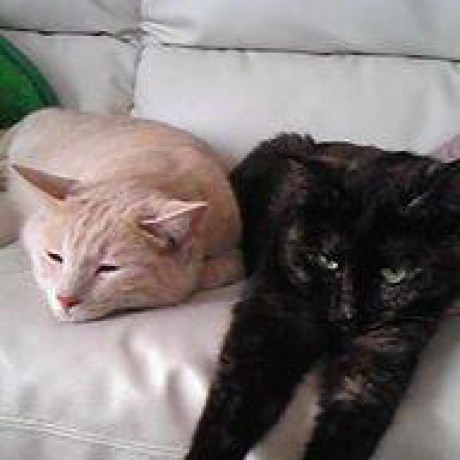 Umetsu Kentaro Umetsu Github - Download Perfect Landscape Wallpaper | Desktop