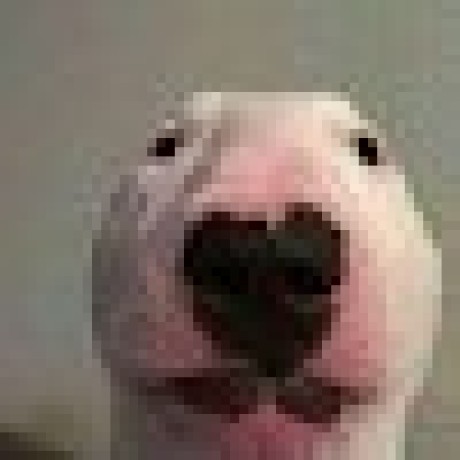 Github Adoniagracio Webpsikologi - Premium Landscape Design Gallery - Ultra HD