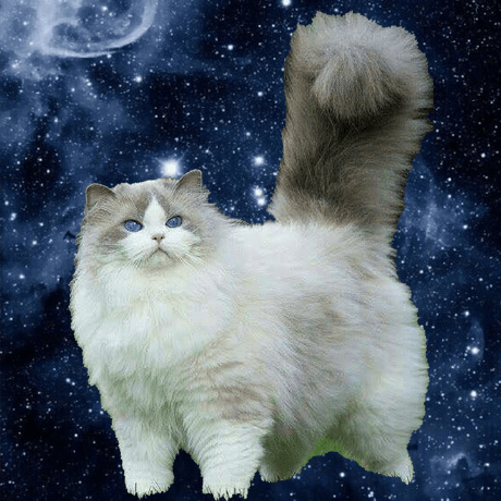 Ryuichironishimura Ryuichiro Nishimura Github - Space Wallpapers - Artistic 4K Collection