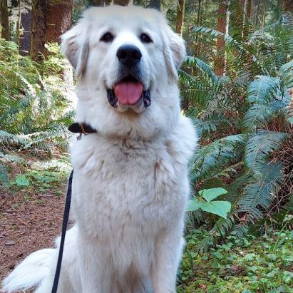 Danmoondigital Dan Github - Download Incredible Dark Photo | Ultra HD